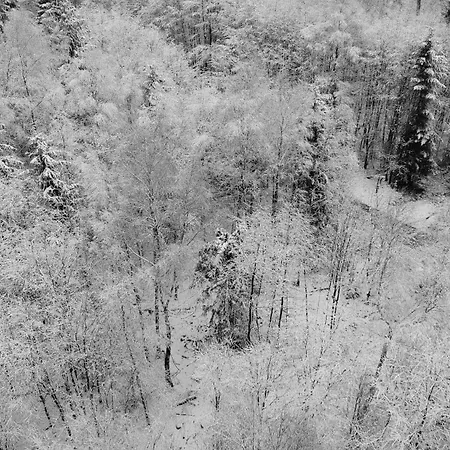 Silberborn - Weserbergland