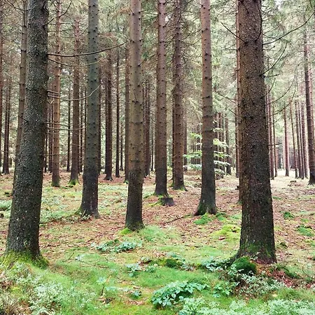 - Weserbergland Silberborn