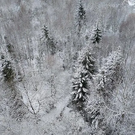 Silberborn - Weserbergland * Holzminden