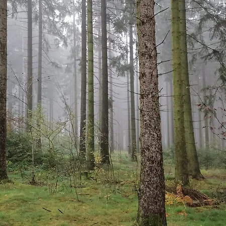 Silberborn - Weserbergland * Holzminden