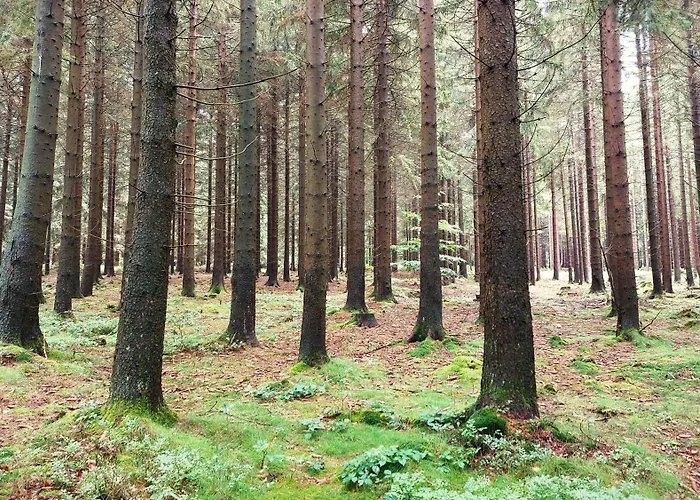 - Weserbergland Silberborn