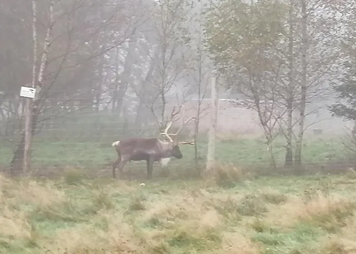 - Weserbergland Silberborn