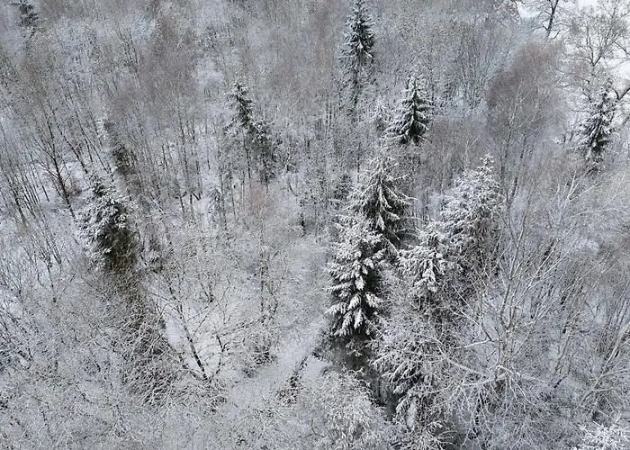 - Weserbergland * Silberborn