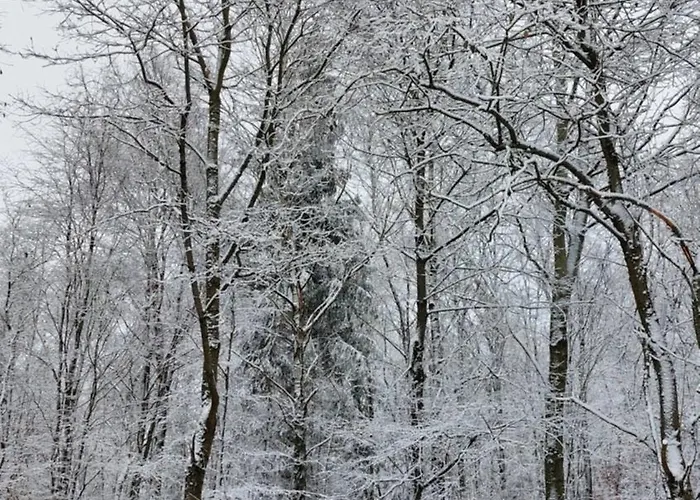 - Weserbergland Apartman *